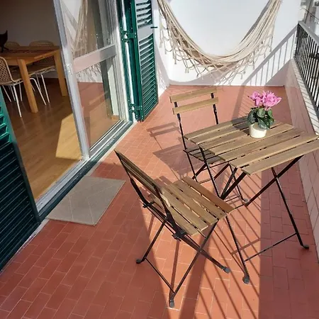 Zimbra * Sesimbra